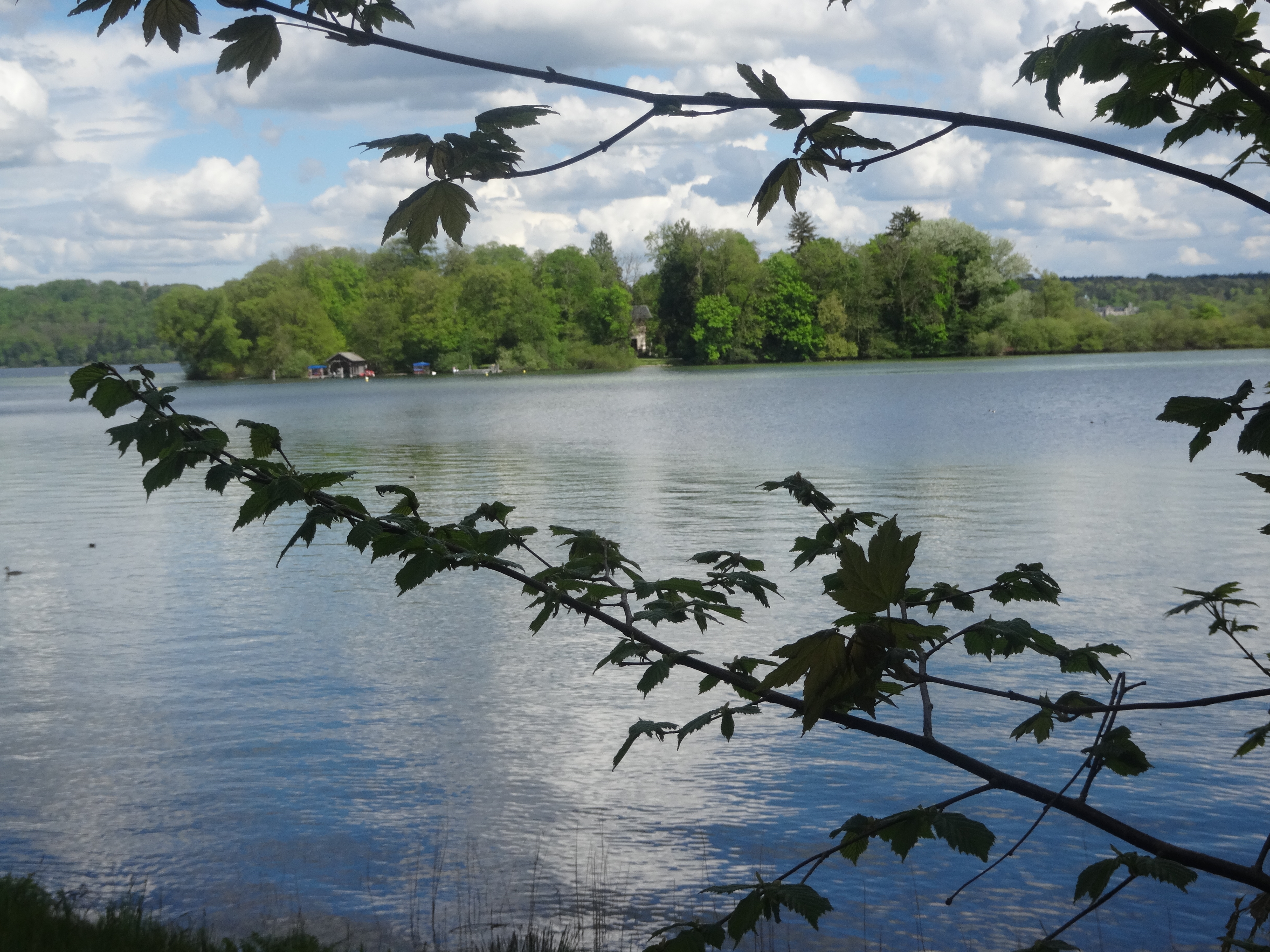 Idylle am Starnberger See